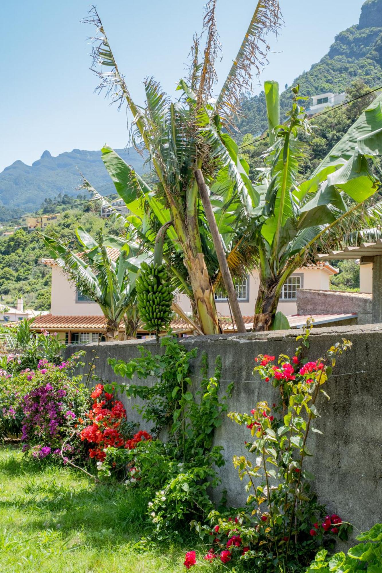 Sao Vicente Guest House エクステリア 写真