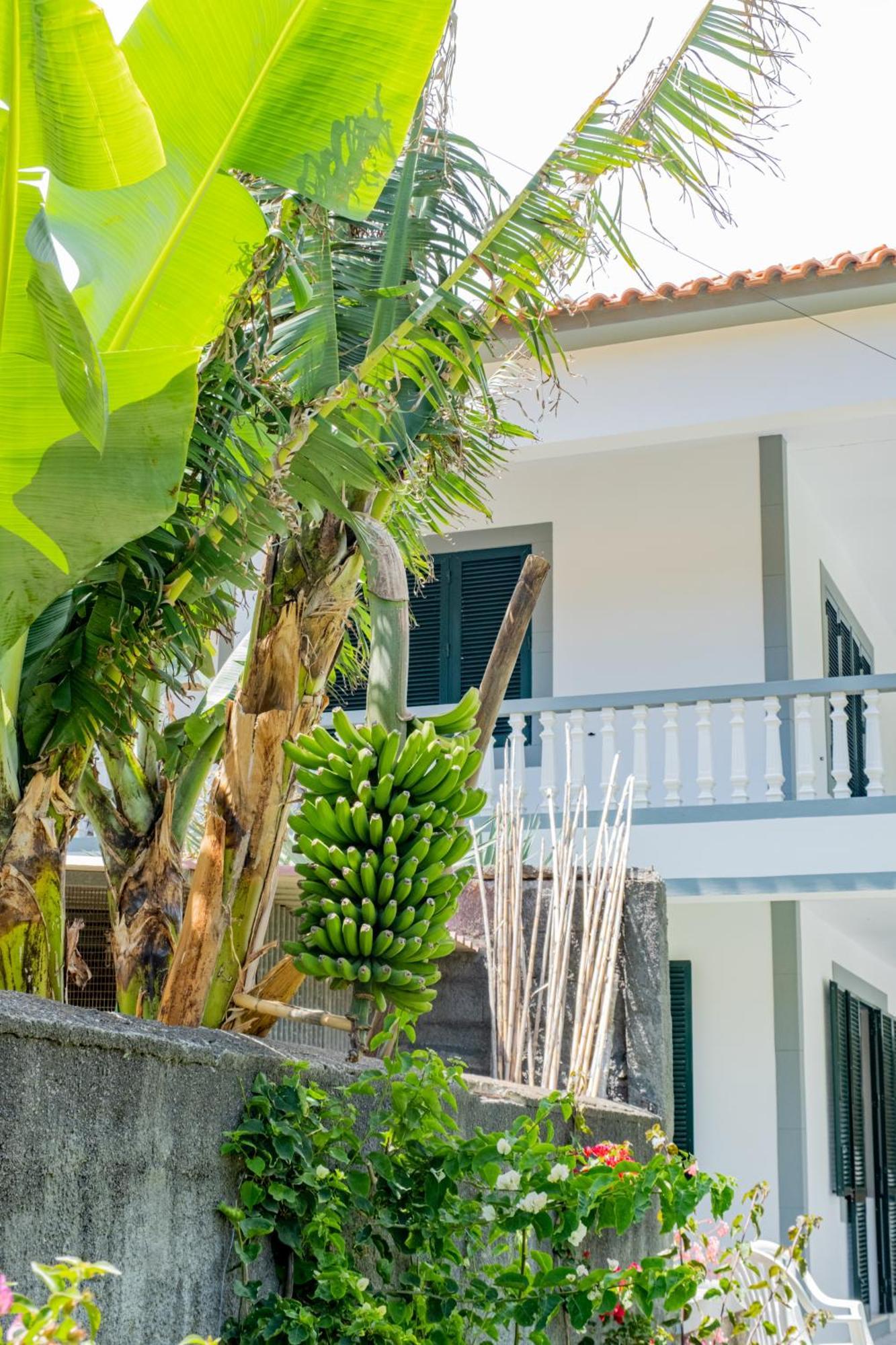Sao Vicente Guest House エクステリア 写真